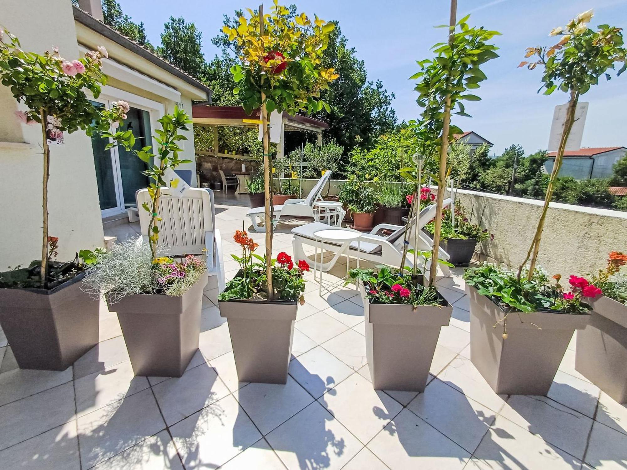 Vlasta-2 By Interhome Apartma